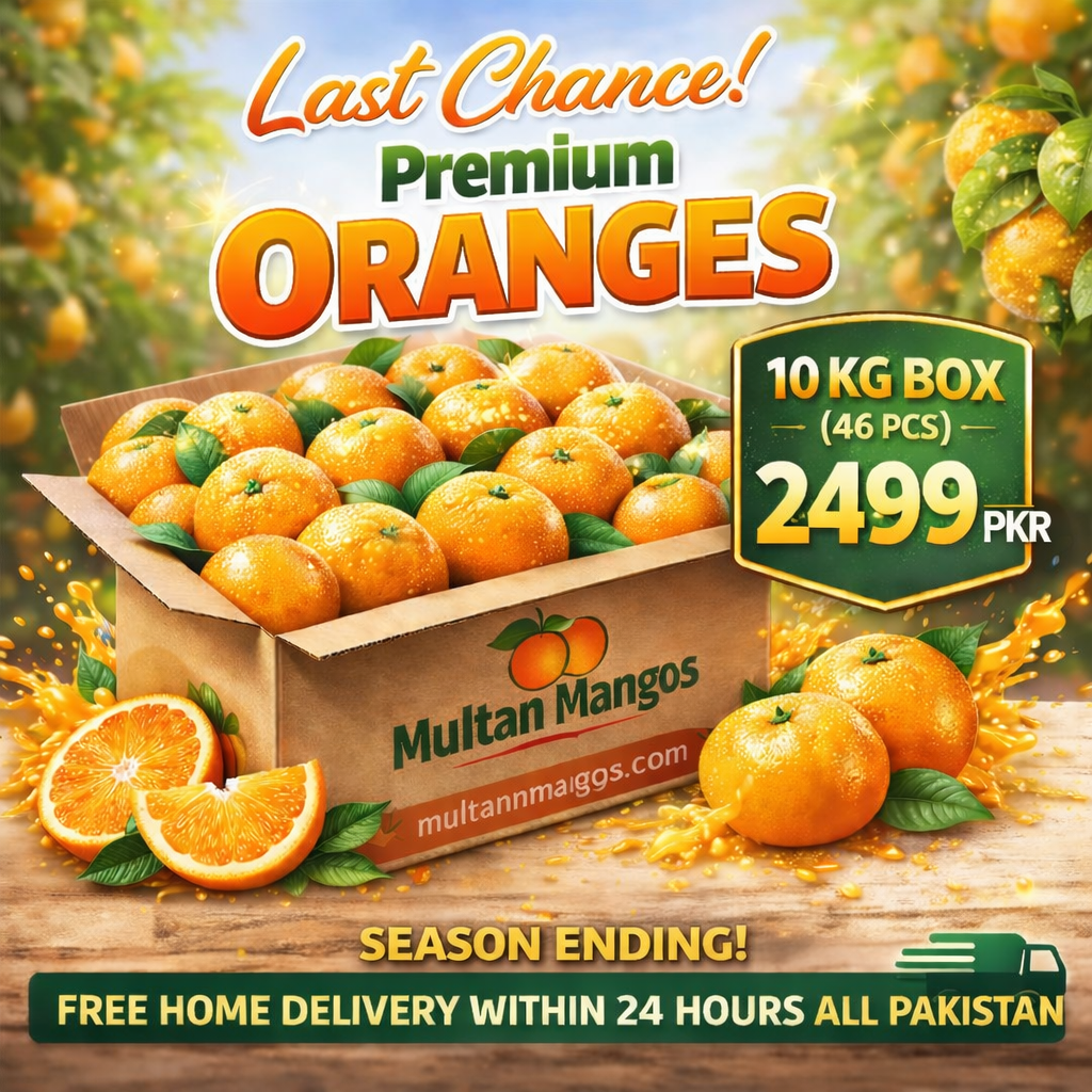 Why Oranges Are One of the Best Fruits for Your Health